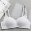 Fern Ribbed Cotton Bra